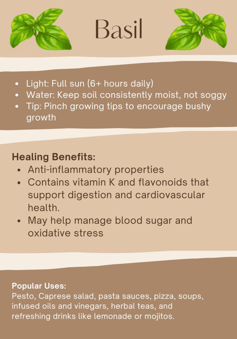 Free Printable Herb Cards - Care Tips & Healing Uses
